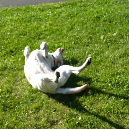 Pod Skocznia Ubytování v soukromí *