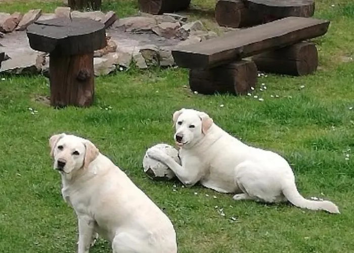 Ubytování v soukromí Pod Skocznia