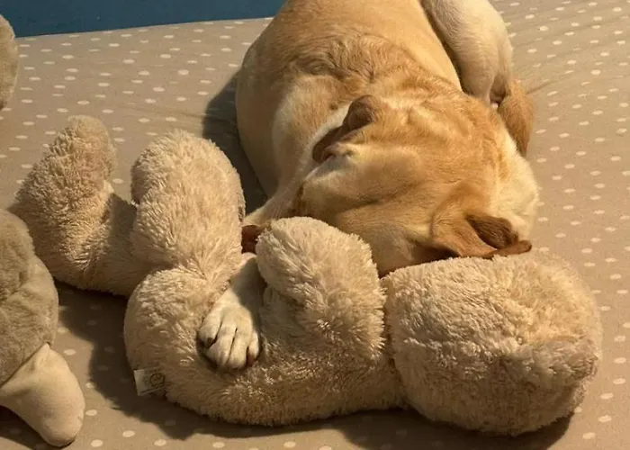 Pod Skocznia Szczyrk