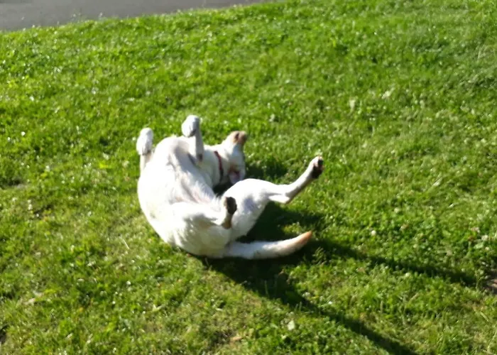 Pod Skocznia Ubytování v soukromí *